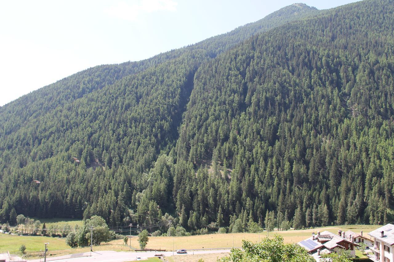 Mont Velan Chambres & Restaurant Saint-Oyen Экстерьер фото
